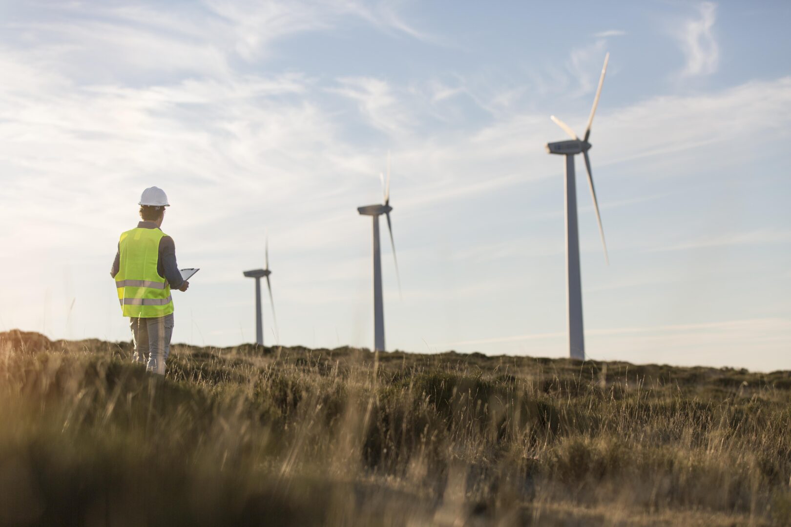 wind-farms-fields